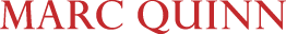 Marc Quinn